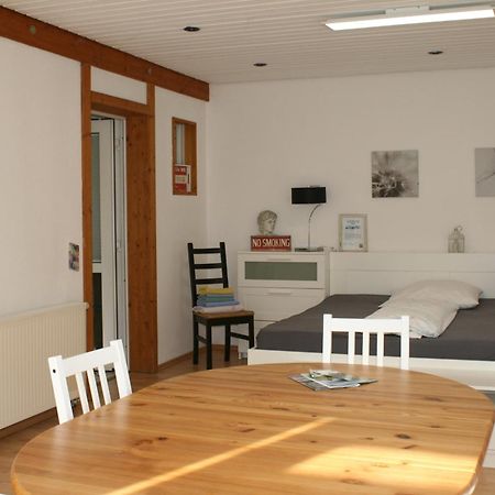 Gemuetliches Grosszuegiges Apartment Höhr-Grenzhausen Zewnętrze zdjęcie