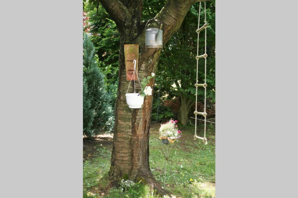 Gemuetliches Grosszuegiges Apartment Höhr-Grenzhausen Zewnętrze zdjęcie
